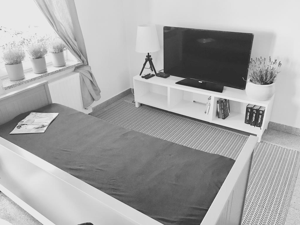 Apartament Lavender Śrem Exteriér fotografie